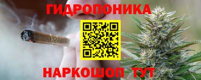 jwh Партизанск