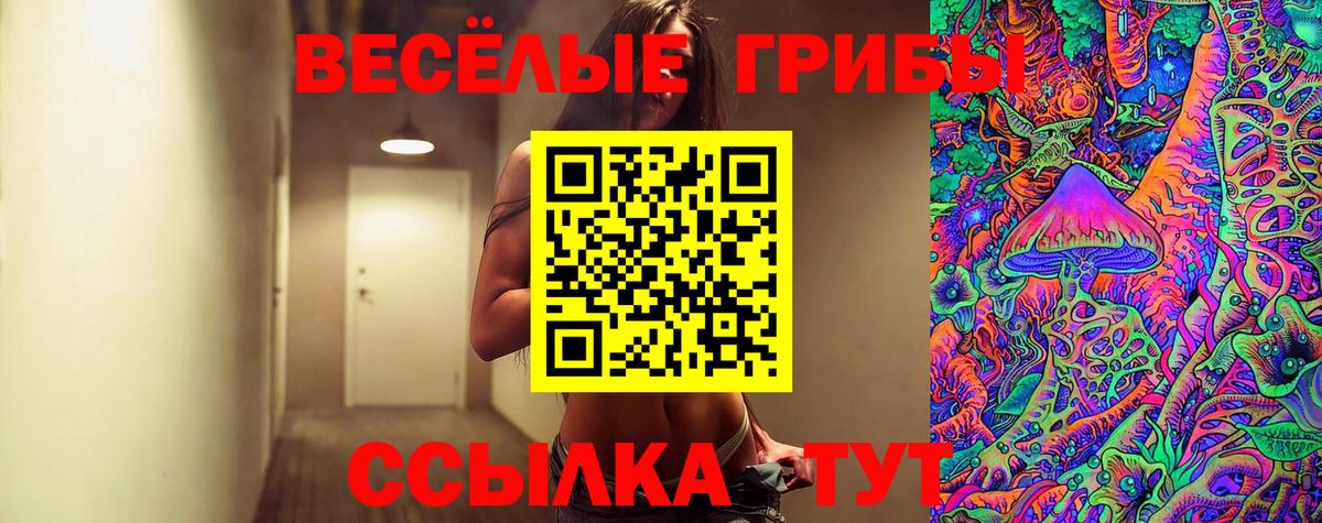 Галлюциногенные грибы Psilocybe Саратов