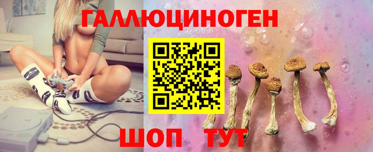как найти   Галлюциногенные грибы мицелий  Вход с VPN  Саратов  Галлюциногенные грибы Psilocybine cubensis 